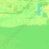 Mappa topografica Hickory Grove, altitudine, rilievo