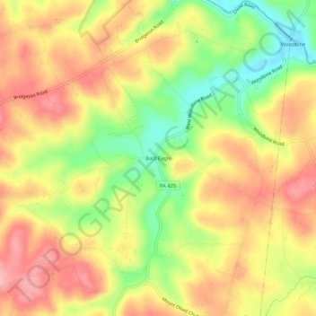Mappa topografica Bald Eagle, altitudine, rilievo