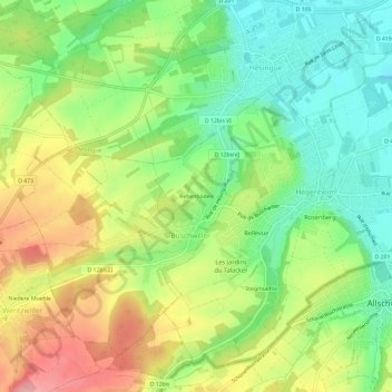 Mappa topografica Rebenboden, altitudine, rilievo