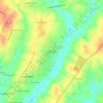 Mappa topografica Cobbs Glen, altitudine, rilievo