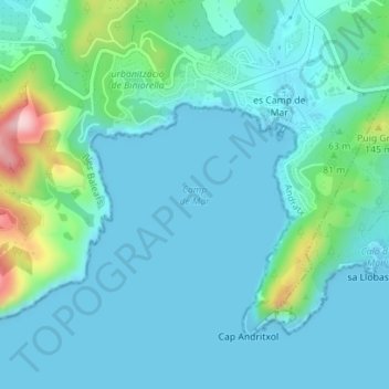 Mappa topografica Camp de Mar, altitudine, rilievo