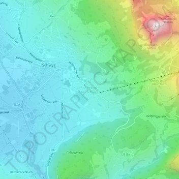 Mappa topografica Rickenbach, altitudine, rilievo