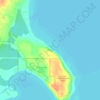 Mappa topografica Elmhurst, altitudine, rilievo