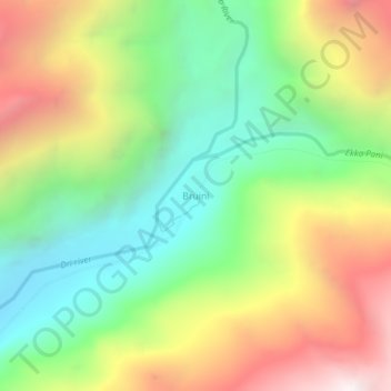 Mappa topografica Bruini, altitudine, rilievo