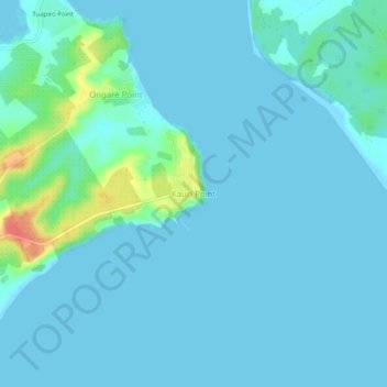 Mappa topografica Kauri Point, altitudine, rilievo