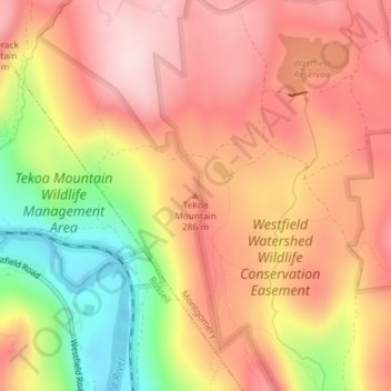 Mappa topografica Tekoa Mountain, altitudine, rilievo