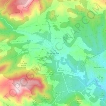 Mappa topografica Pla de Manlleu, altitudine, rilievo