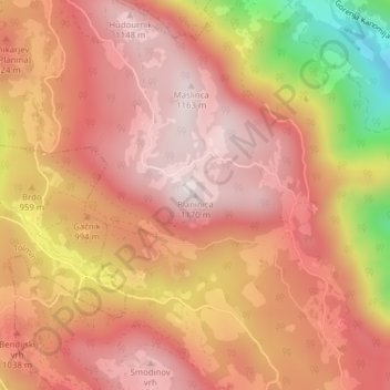 Mappa topografica Planinica, altitudine, rilievo
