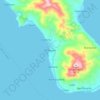 Mappa topografica Pintuyan, altitudine, rilievo