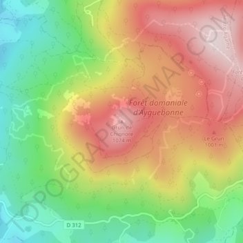 Mappa topografica Grün de Chignore, altitudine, rilievo