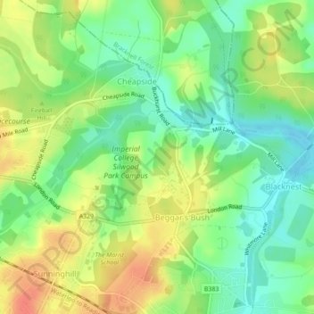 Mappa topografica Silwood Park, altitudine, rilievo