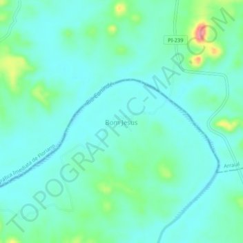 Mappa topografica Bom Jesus, altitudine, rilievo