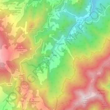 Mappa topografica Rigo, altitudine, rilievo