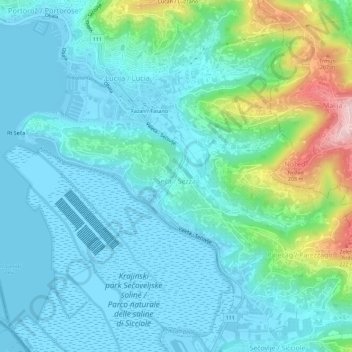 Mappa topografica Seča / Sezza, altitudine, rilievo