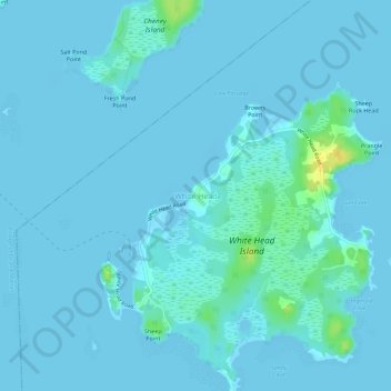 Mappa topografica White Head, altitudine, rilievo