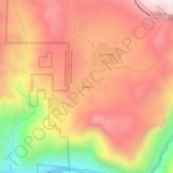 Mappa topografica Foresta, altitudine, rilievo