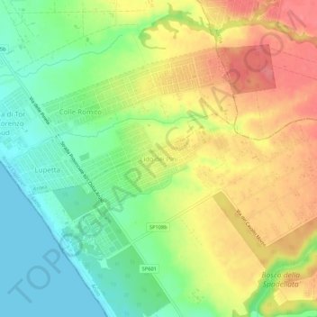 Mappa topografica Lido dei Pini, altitudine, rilievo