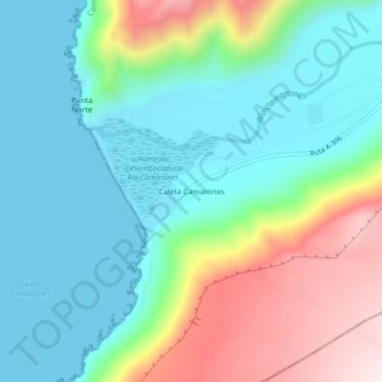 Mappa topografica Caleta Camarones, altitudine, rilievo