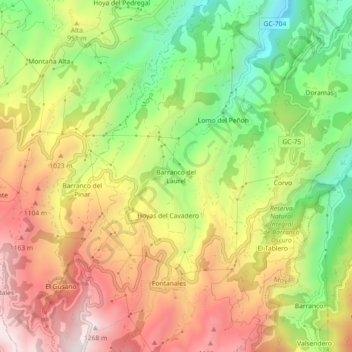 Mappa topografica Barranco del Laurel, altitudine, rilievo