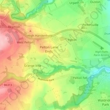 Mappa topografica Newfield, altitudine, rilievo