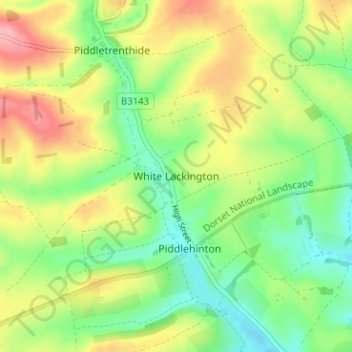 Mappa topografica White Lackington, altitudine, rilievo