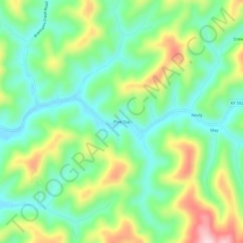 Mappa topografica Pine Top, altitudine, rilievo