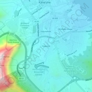 Mappa topografica Keapuka, altitudine, rilievo