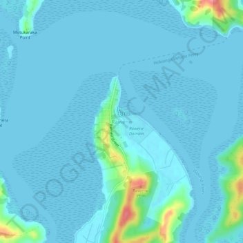 Mappa topografica Rawene, altitudine, rilievo