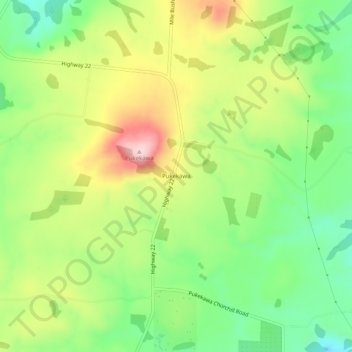 Mappa topografica Pukekawa, altitudine, rilievo