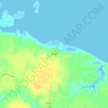 Mappa topografica Bushy, altitudine, rilievo