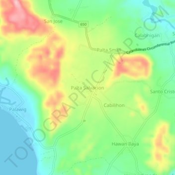 Mappa topografica Palta Salvacion, altitudine, rilievo