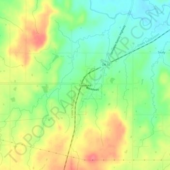 Mappa topografica Sasakwa, altitudine, rilievo
