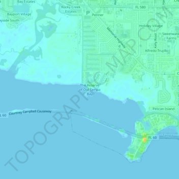 Mappa topografica The Reserve of Old Tampa Bay, altitudine, rilievo