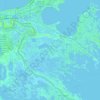 Mappa topografica Delacroix Island, altitudine, rilievo