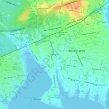 Mappa topografica Springville, altitudine, rilievo