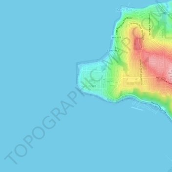 Mappa topografica Browns Point, altitudine, rilievo
