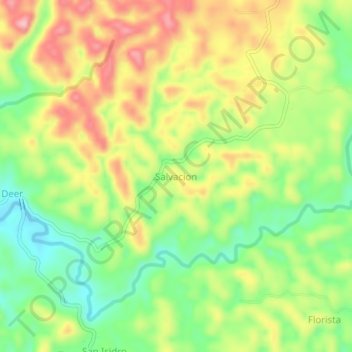 Mappa topografica Salvacion, altitudine, rilievo