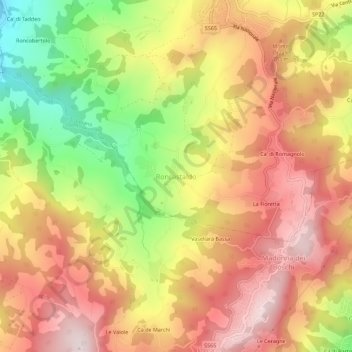 Mappa topografica Roncastaldo, altitudine, rilievo