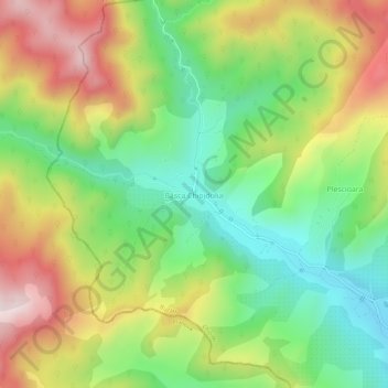 Mappa topografica Bâsca Chiojdului, altitudine, rilievo