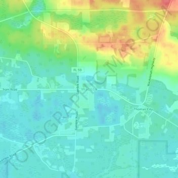 Mappa topografica Wacissa, altitudine, rilievo