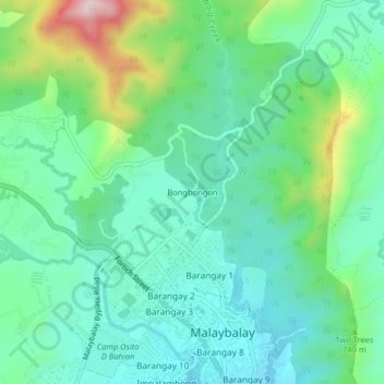 Mappa topografica Bongbongon, altitudine, rilievo