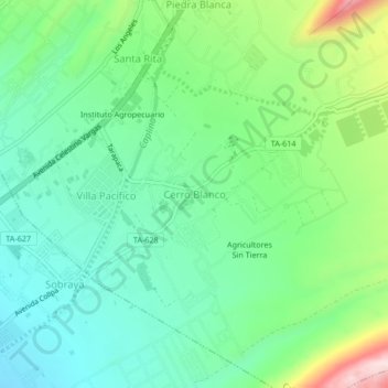 Mappa topografica Cerro Blanco, altitudine, rilievo