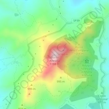 Mappa topografica Monte Altesina, altitudine, rilievo
