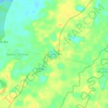 Mappa topografica Selva de Oro, altitudine, rilievo
