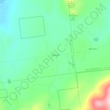 Mappa topografica Forestdale, altitudine, rilievo