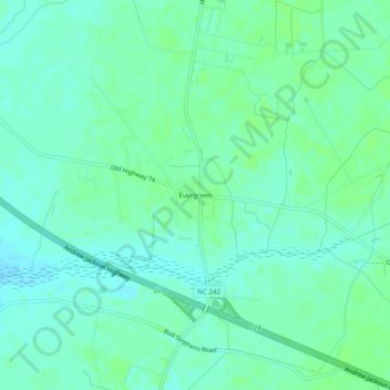 Mappa topografica Evergreen, altitudine, rilievo
