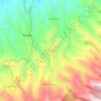 Mappa topografica Wonokitri, altitudine, rilievo
