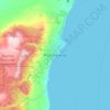 Mappa topografica Punta Arenas, altitudine, rilievo