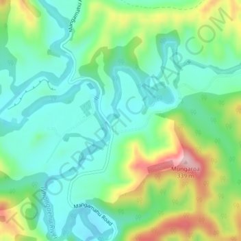 Mappa topografica Mangamahu, altitudine, rilievo