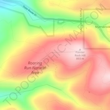 Mappa topografica Roaring Run Natural Area, altitudine, rilievo
